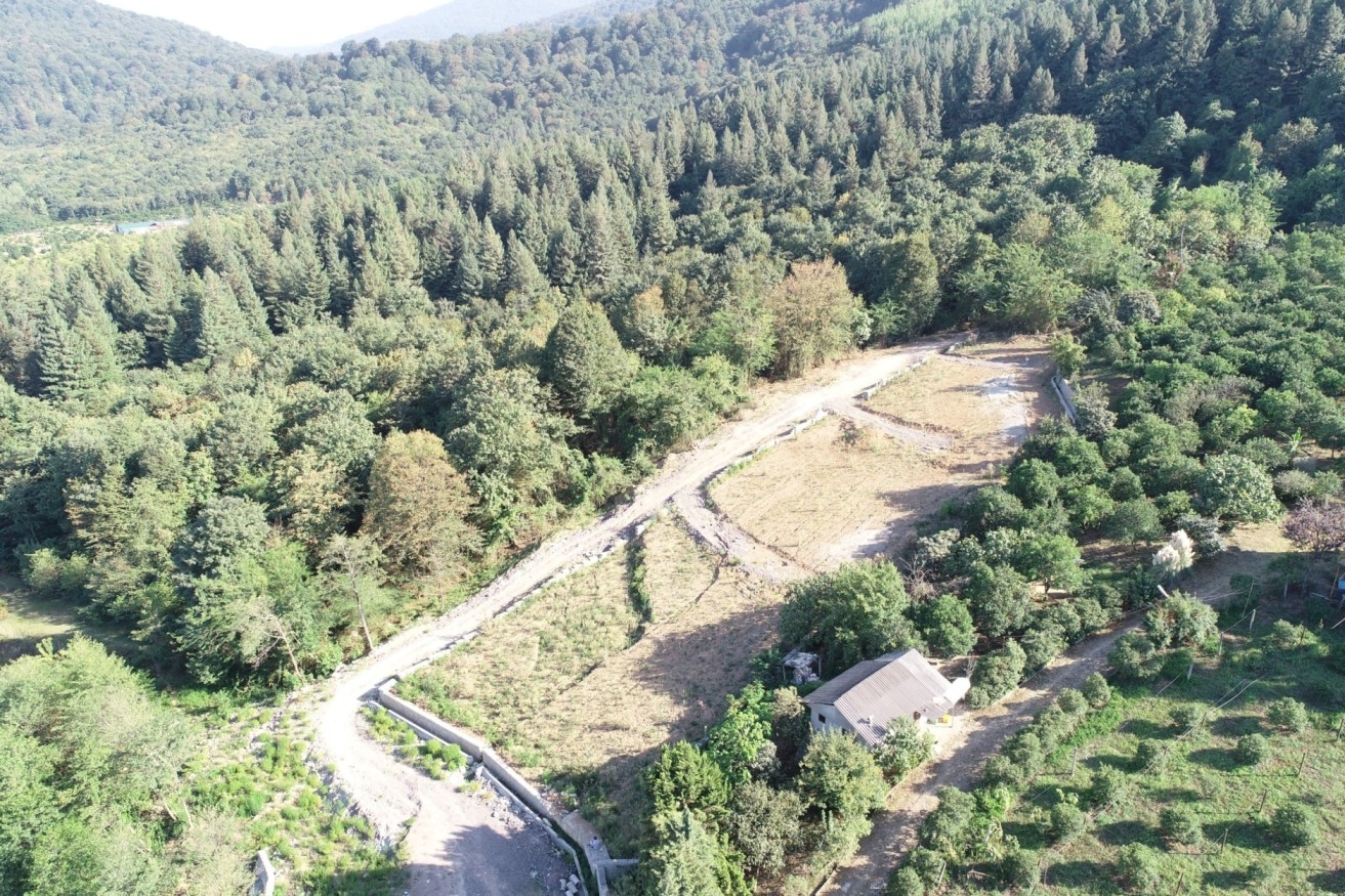 جوهرة البجعة